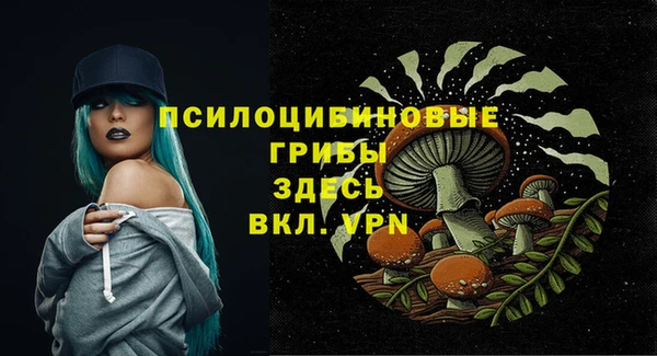 метадон Медногорск