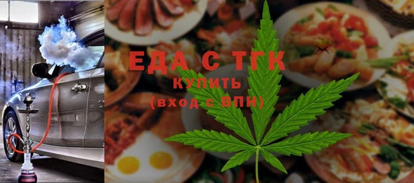 индика Алагир