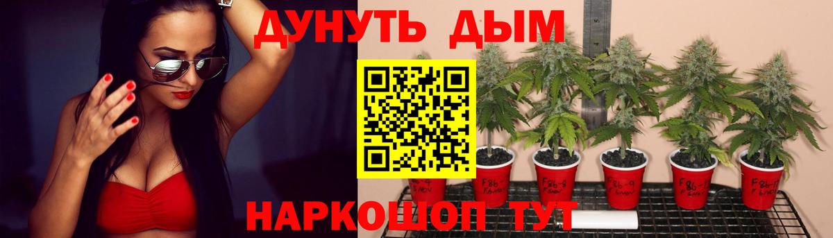 Каннабис планчик  Вход с VPN  Усть-Илимск  Канабис LSD WEED 